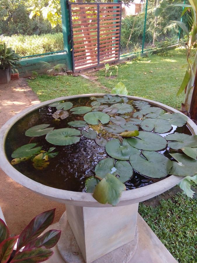Waterway Garden Villa Polonnaruwa Ngoại thất bức ảnh