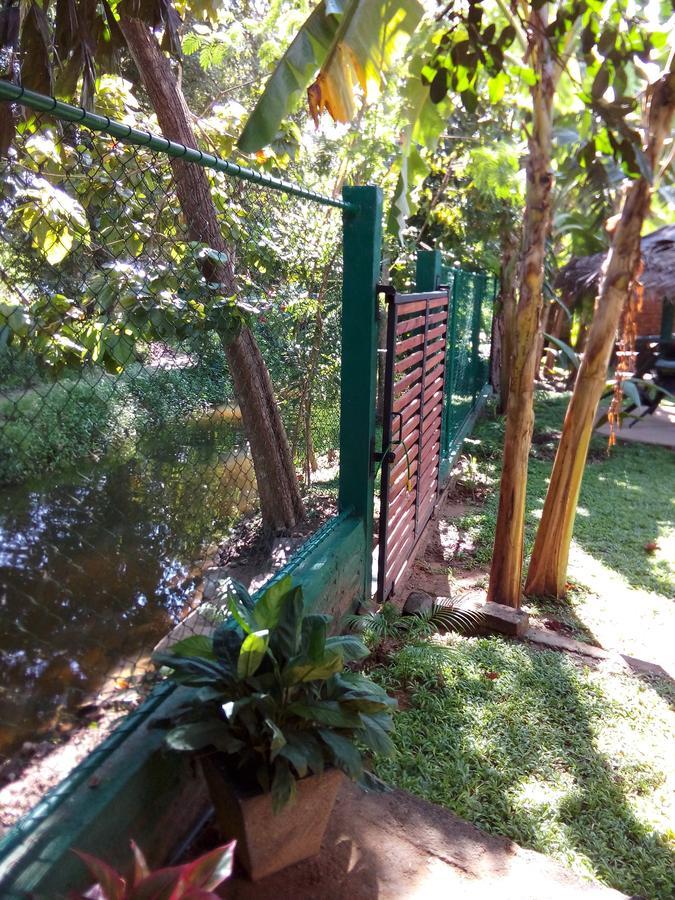 Waterway Garden Villa Polonnaruwa Ngoại thất bức ảnh
