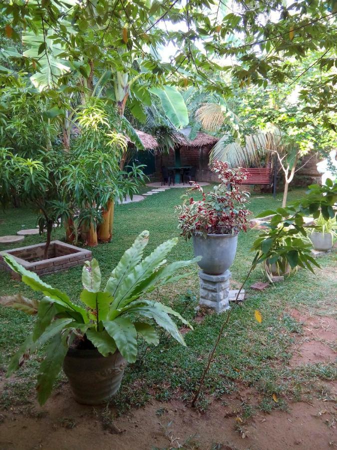 Waterway Garden Villa Polonnaruwa Ngoại thất bức ảnh